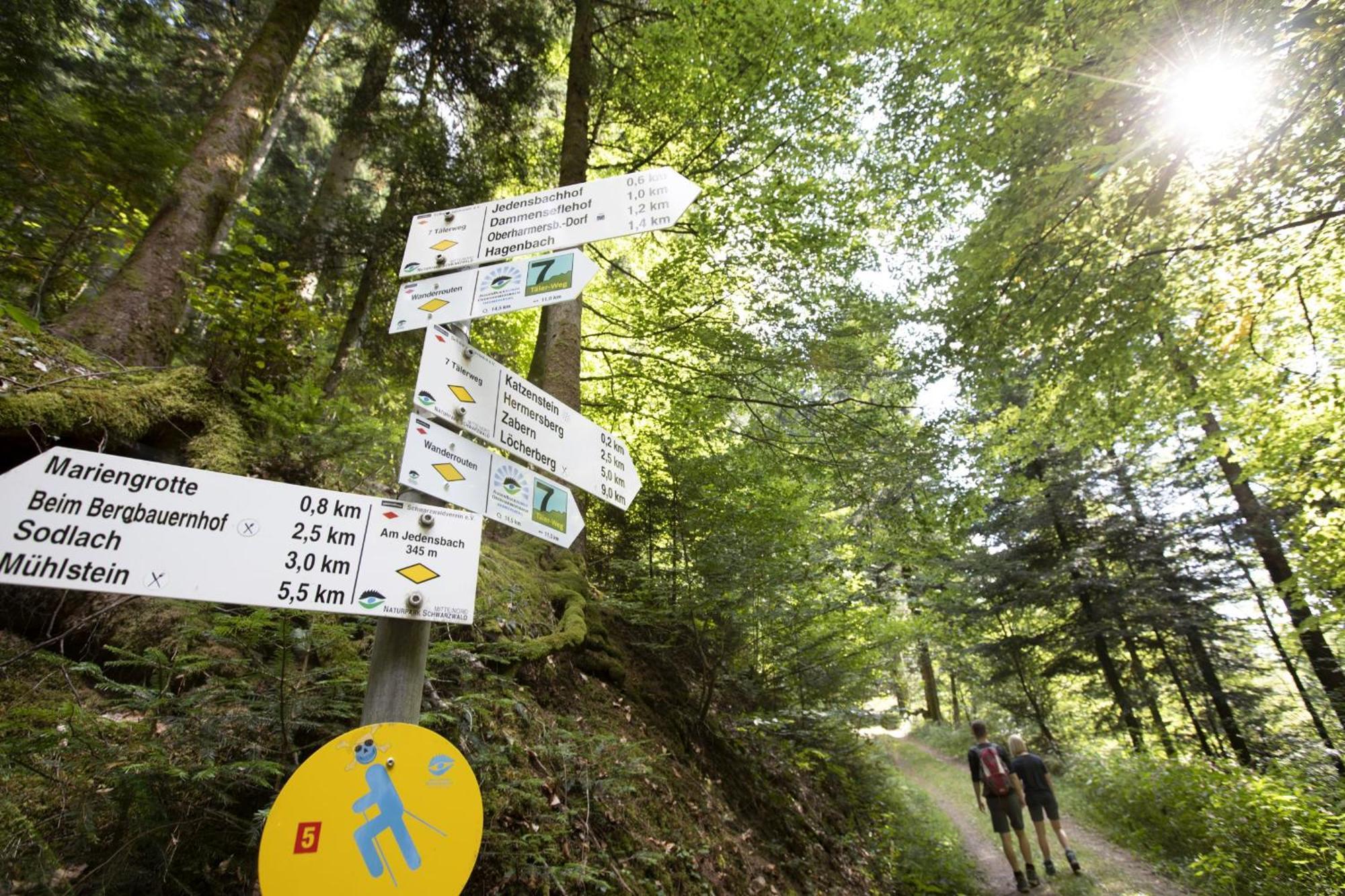 Ferienwohnungen Golla-Lang Oberharmersbach Eksteriør billede